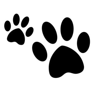 34 Paw Prints